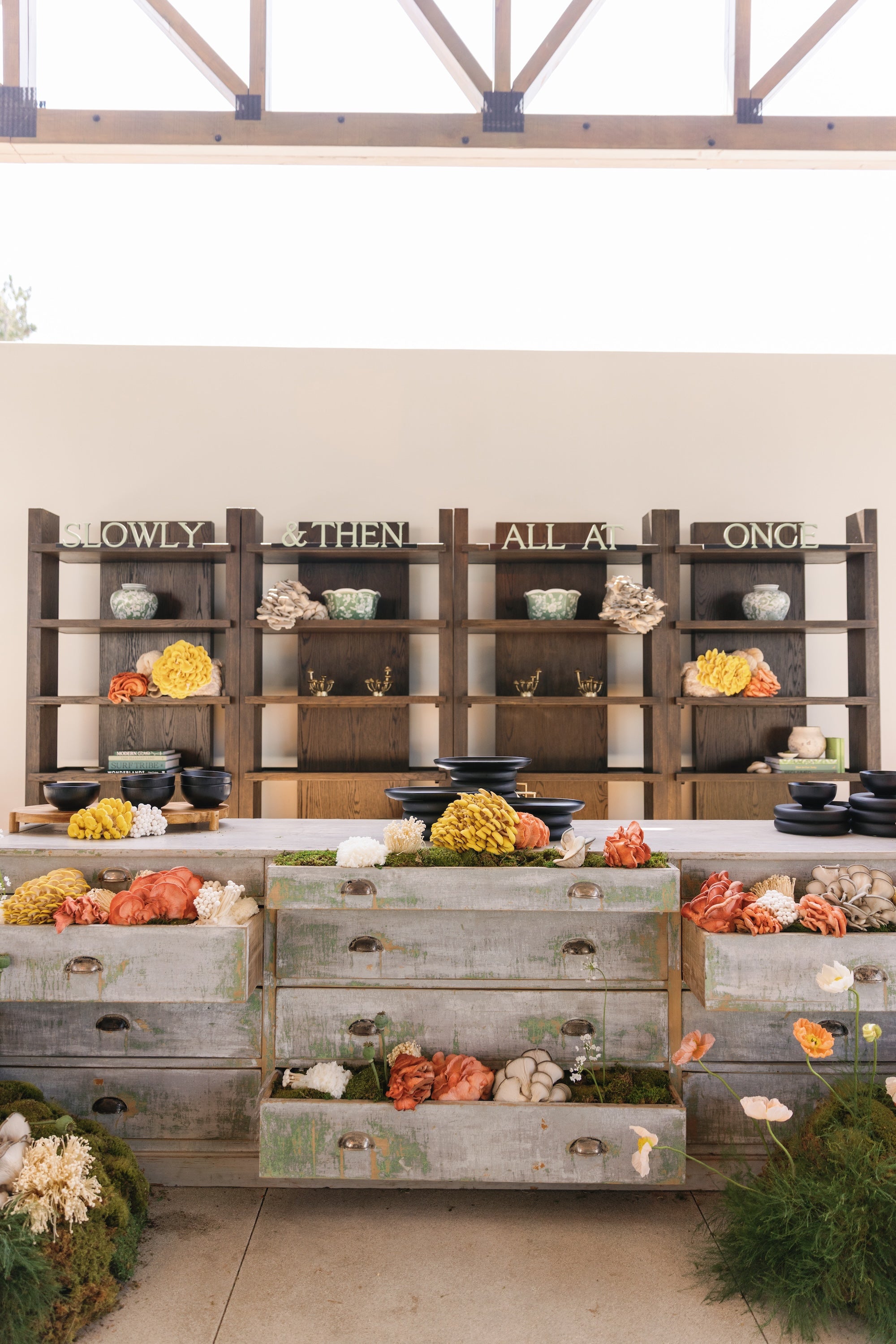 Howard Shelf