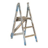 Brigsby Ladder