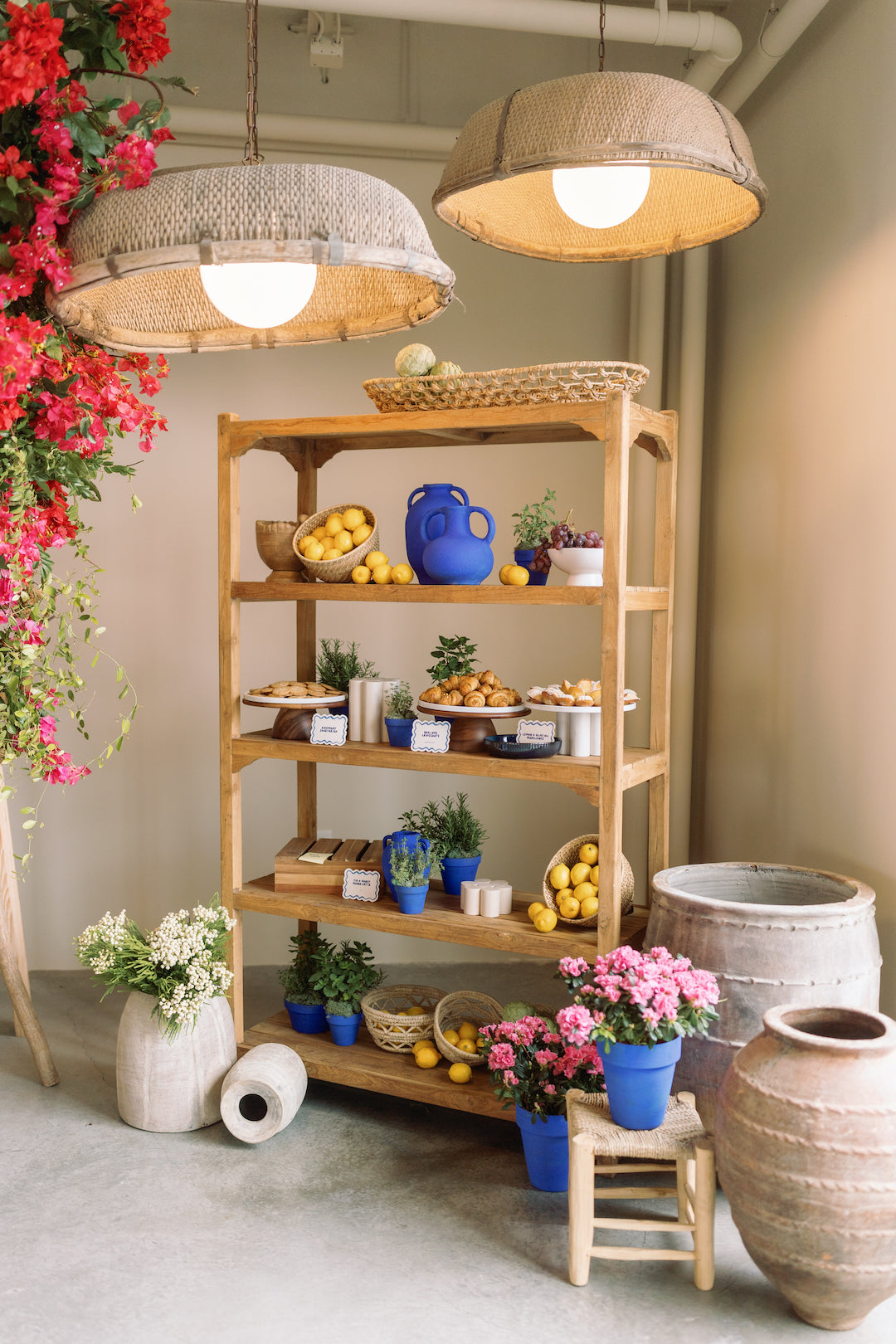 Theo Shelf