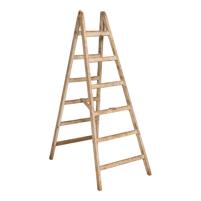Alder Ladder