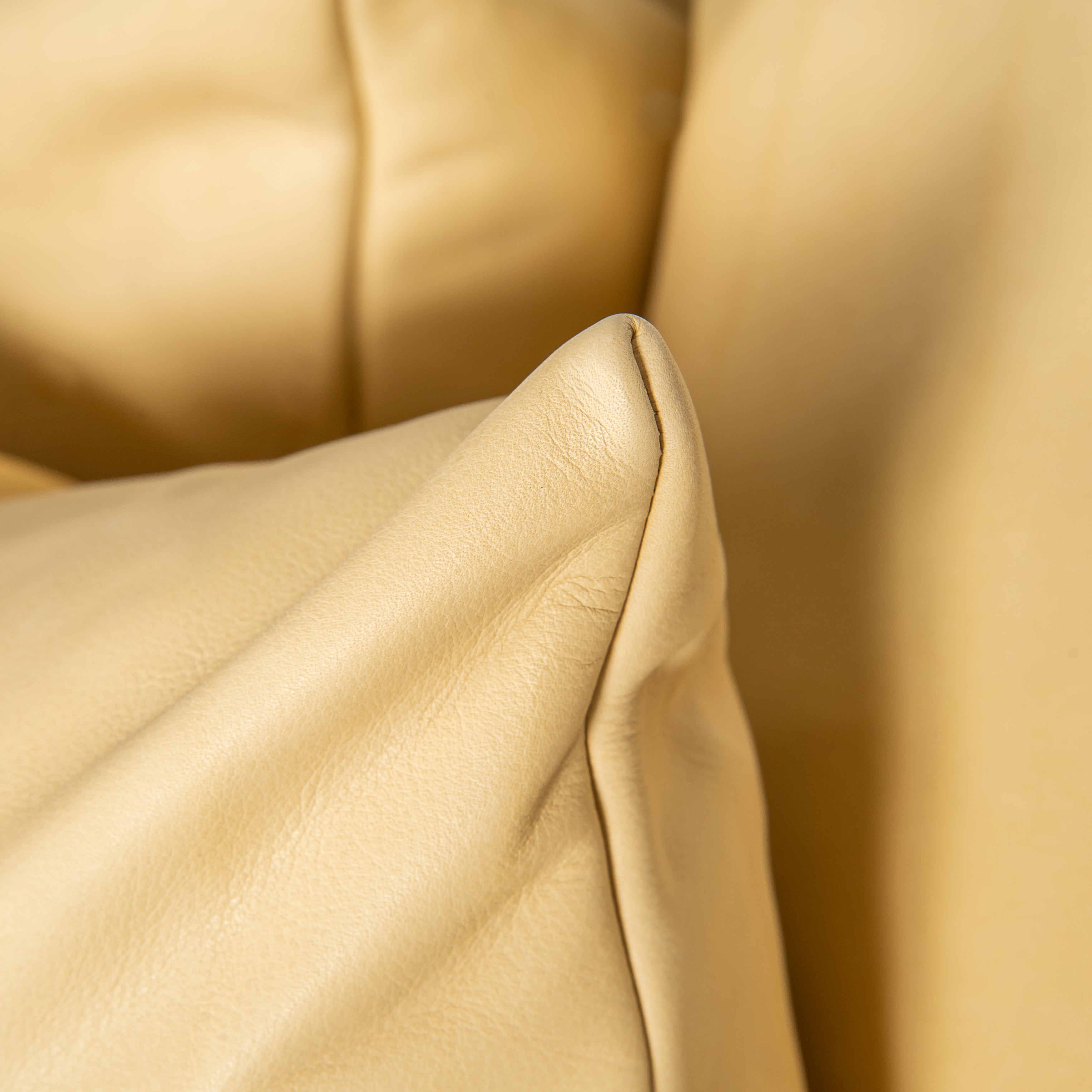 Annalee Yellow Pillows (pair)