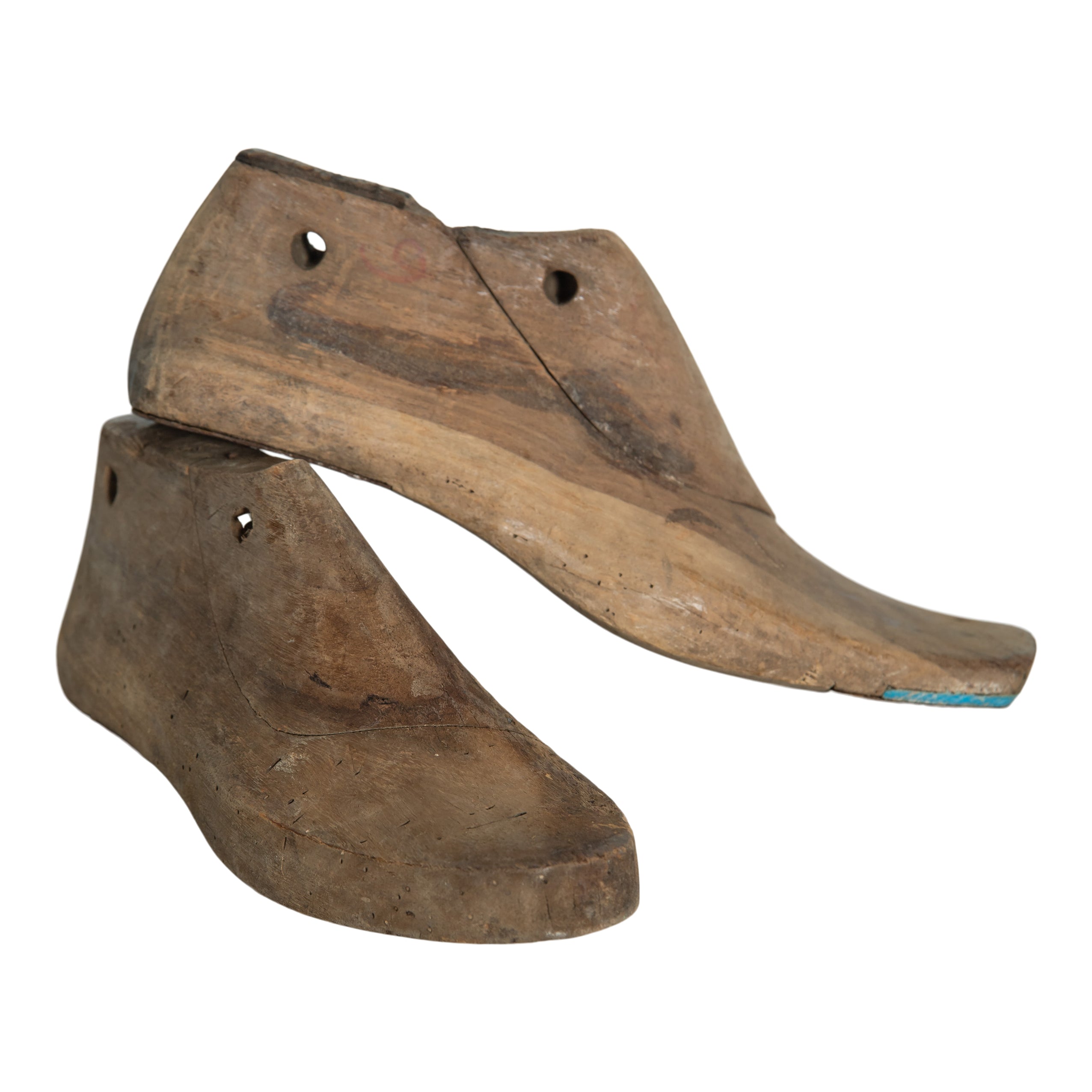 Beatrix Shoe Form