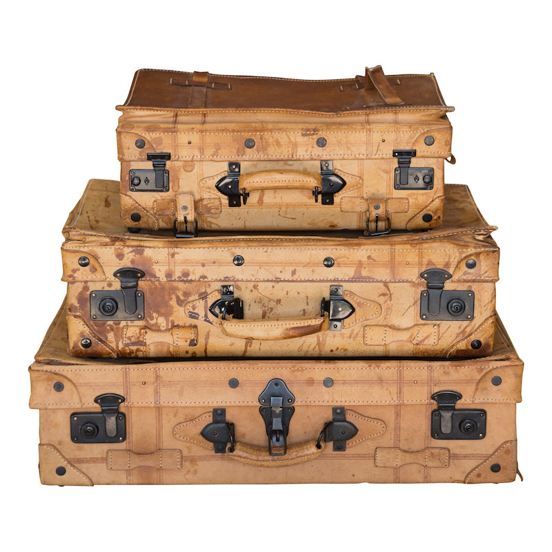 Benjamin Suitcases (Set of 3)