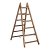 Bickford Ladder