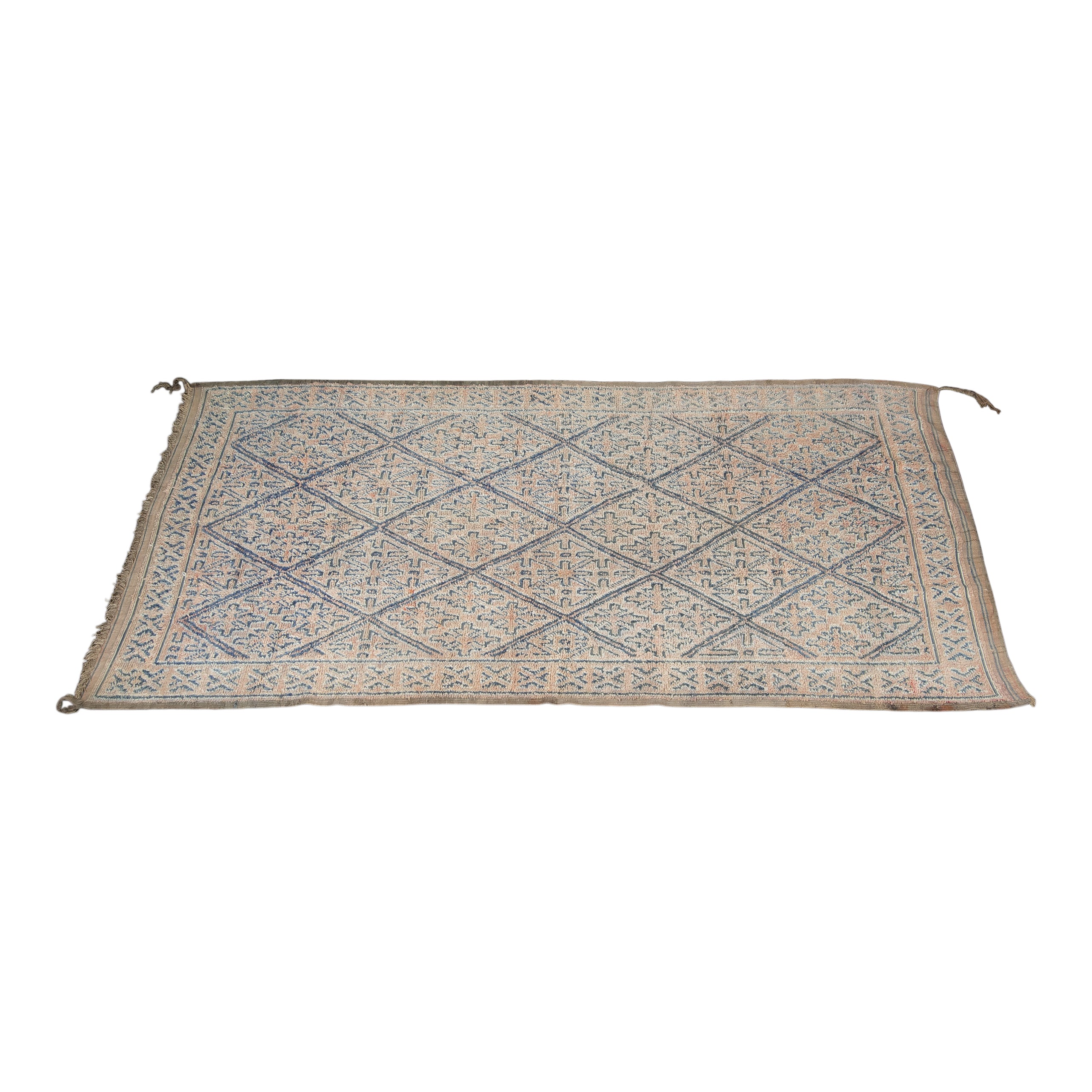 Brenna Vintage Rug (6x12)