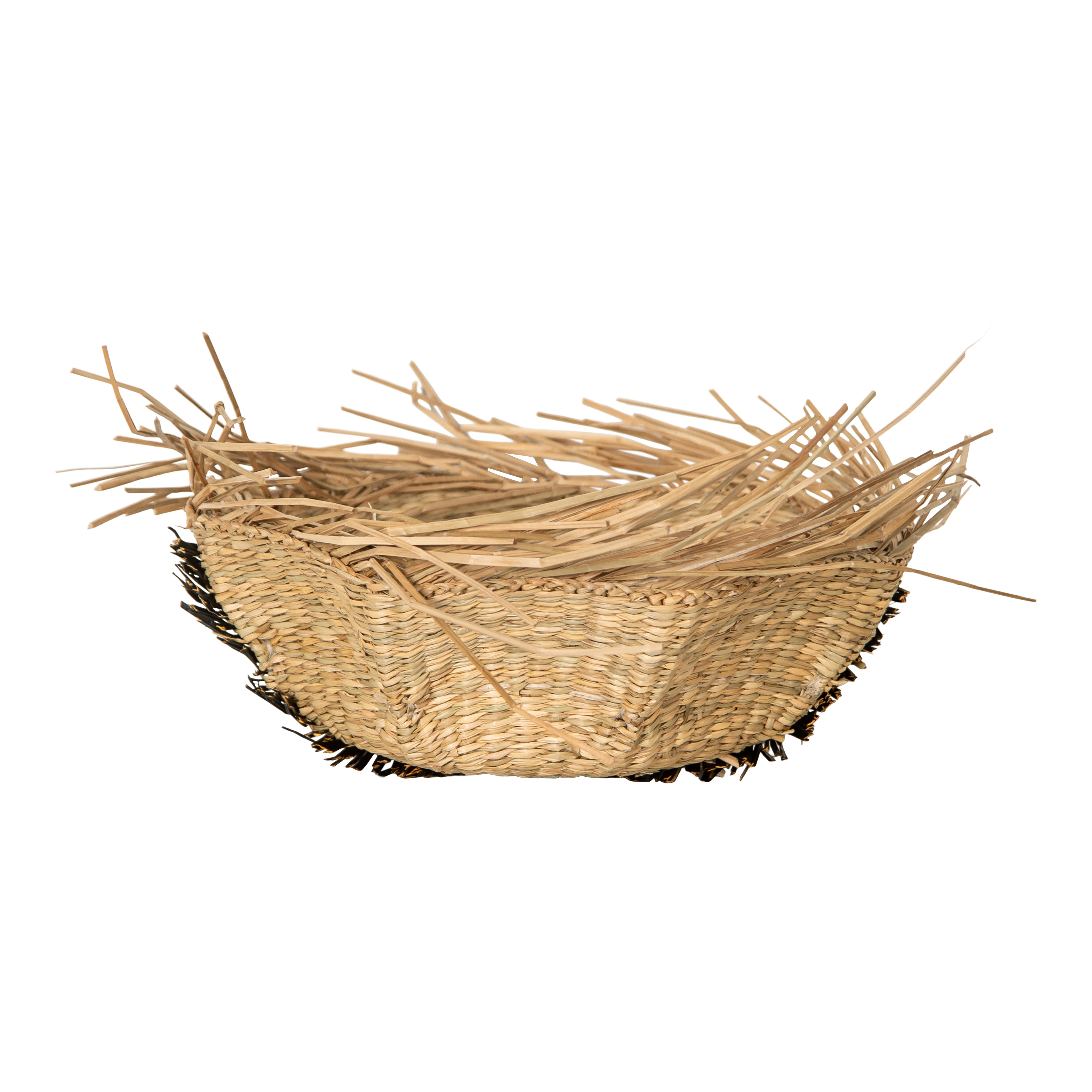 Maleah Basket