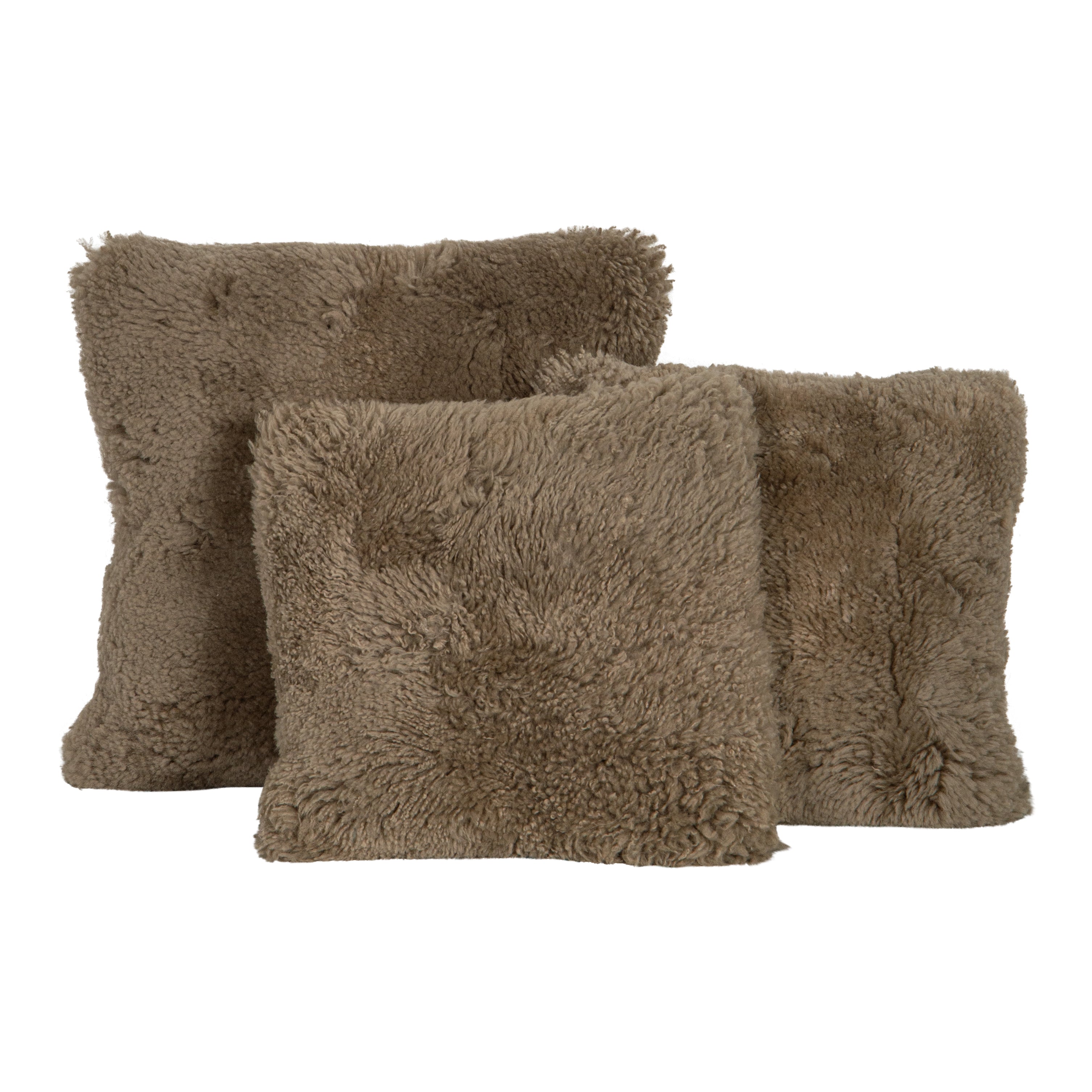 Moorly Brown Pillows (set of 3)